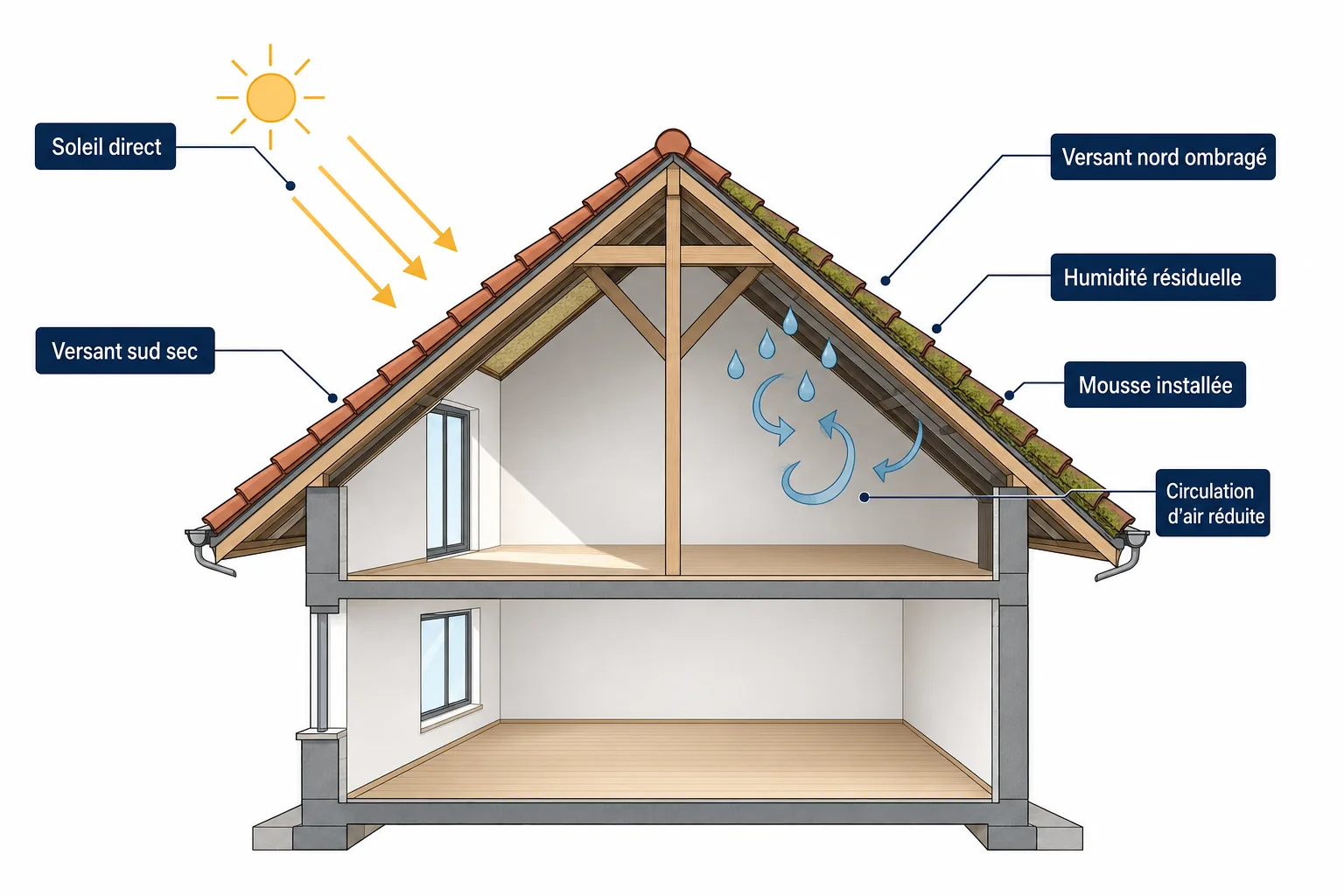 Coupe comparative d'un toit montrant pourquoi le versant nord reste humide et favorise l'installation durable de la mousse.