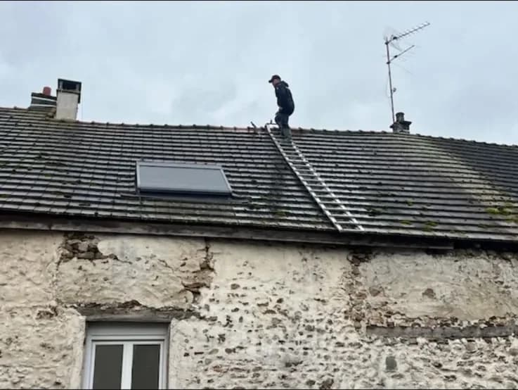 Une toiture largement couverte de mousse avant intervention, vue depuis une échelle